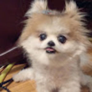 Meet your Posher, Juni